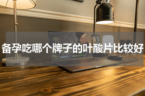 备孕吃哪个牌子的叶酸片比较好