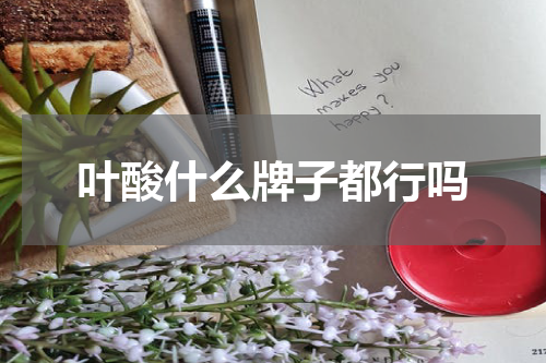 叶酸什么牌子都行吗