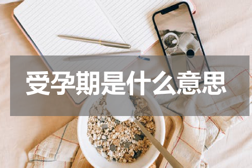 受孕期是什么意思