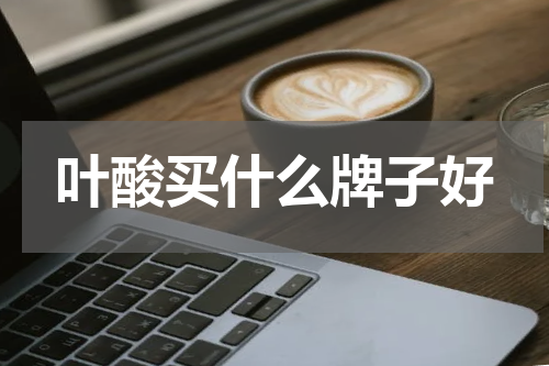 叶酸买什么牌子好
