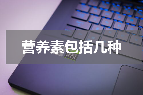营养素包括几种