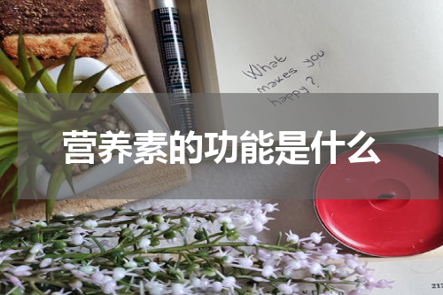 营养素的功能是什么