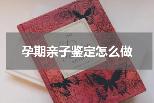 孕期亲子鉴定怎么做
