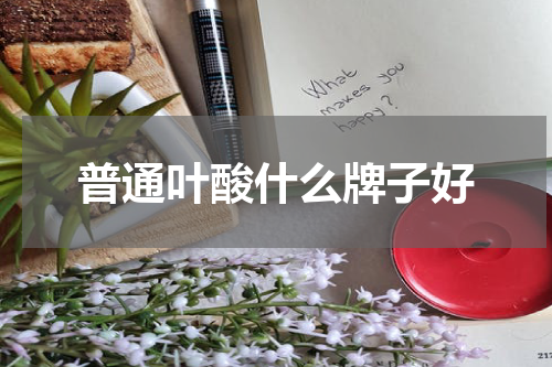 普通叶酸什么牌子好