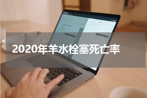 2020年羊水栓塞死亡率
