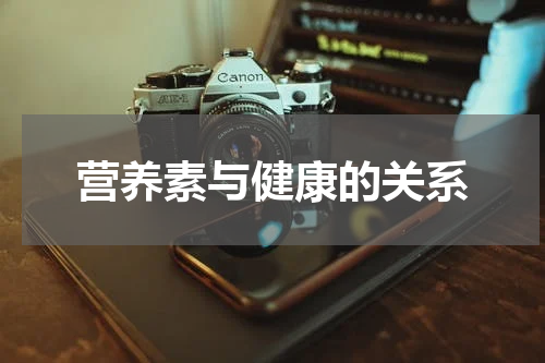 营养素与健康的关系