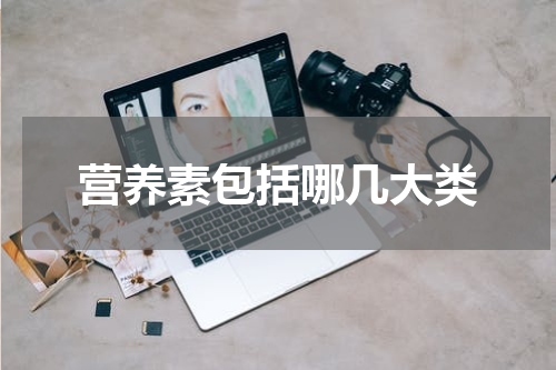 营养素包括哪几大类