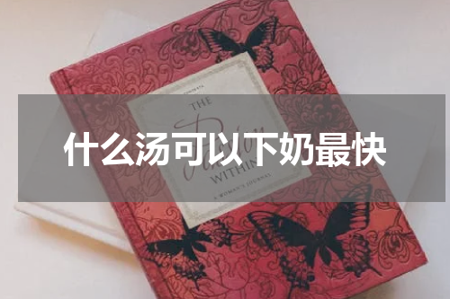 什么汤可以下奶最快