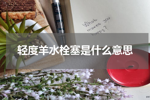 轻度羊水栓塞是什么意思