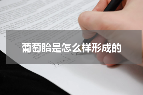 葡萄胎是怎么样形成的