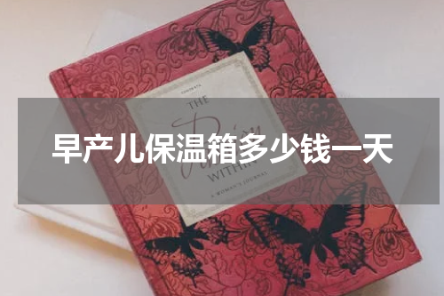 早产儿保温箱多少钱一天