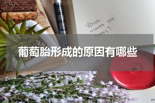 葡萄胎形成的原因有哪些