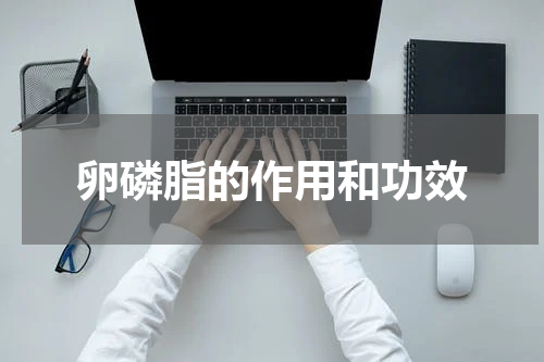 卵磷脂的作用和功效