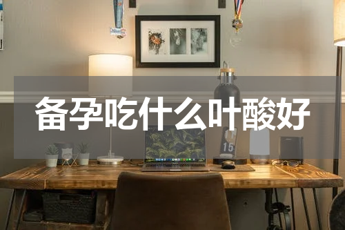 备孕吃什么叶酸好