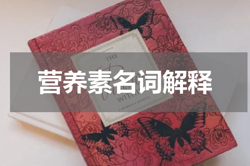 营养素名词解释