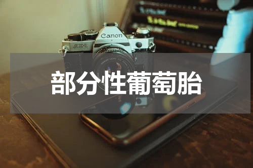部分性葡萄胎