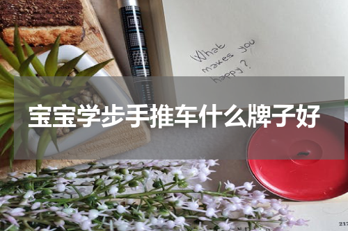 宝宝学步手推车什么牌子好