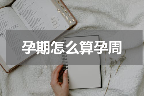 孕期怎么算孕周