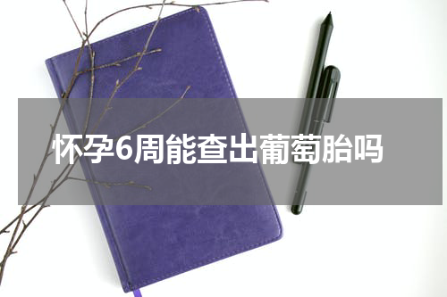 怀孕6周能查出葡萄胎吗