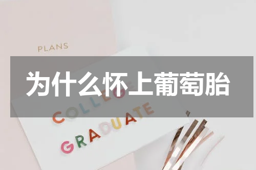 为什么怀上葡萄胎