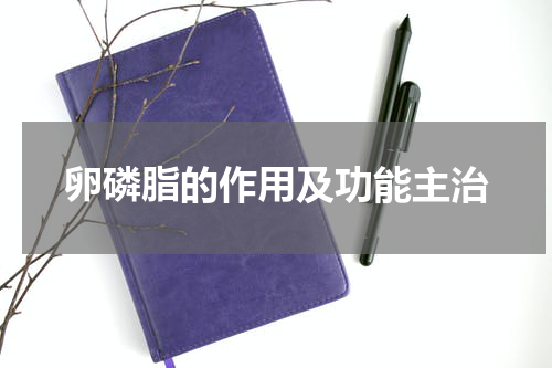 卵磷脂的作用及功能主治