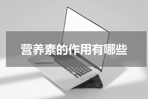 营养素的作用有哪些