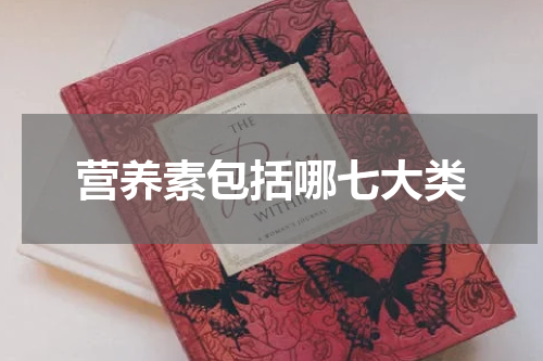 营养素包括哪七大类