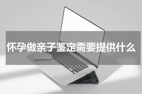 怀孕做亲子鉴定需要提供什么