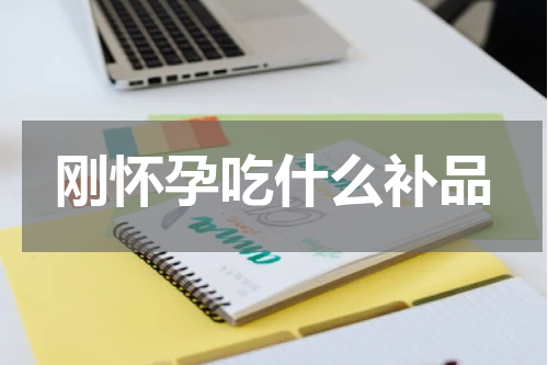 刚怀孕吃什么补品