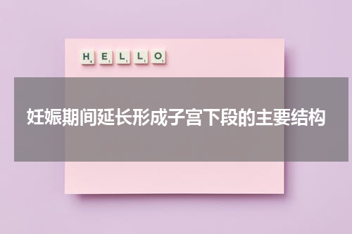 妊娠期间延长形成子宫下段的主要结构