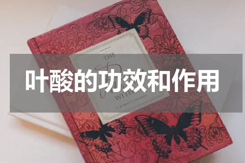 叶酸的功效和作用