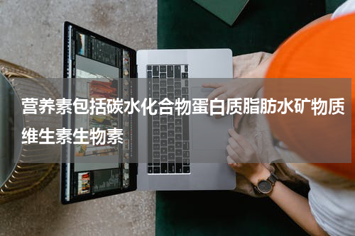 营养素包括碳水化合物蛋白质脂肪水矿物质维生素生物素