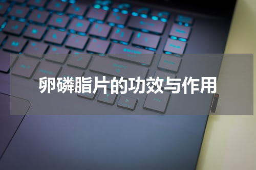 卵磷脂片的功效与作用