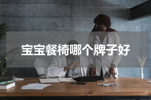 宝宝餐椅哪个牌子好