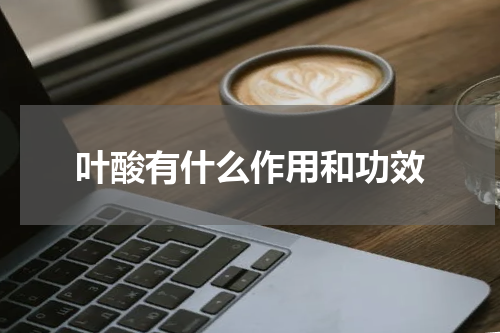 叶酸有什么作用和功效