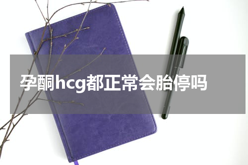 孕酮hcg都正常会胎停吗