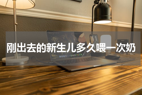 刚出去的新生儿多久喂一次奶