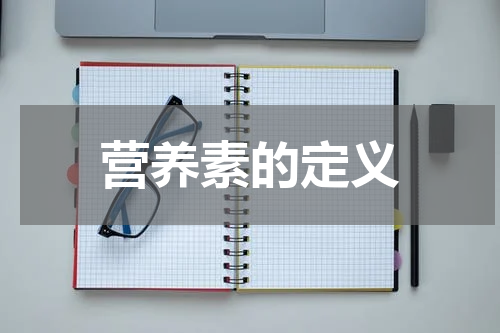 营养素的定义