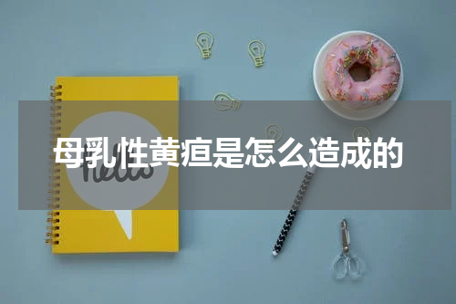 母乳性黄疸是怎么造成的