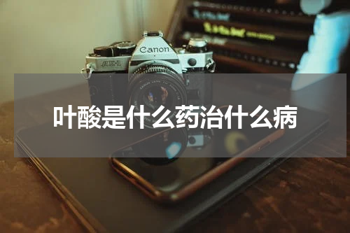 叶酸是什么药治什么病