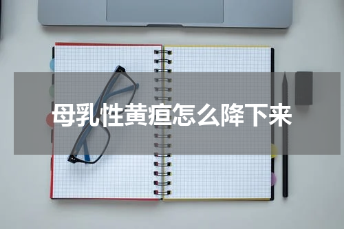母乳性黄疸怎么降下来