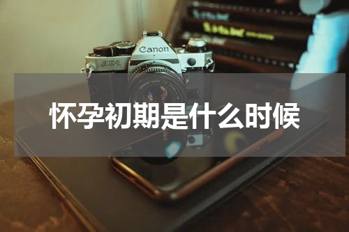 怀孕初期是什么时候