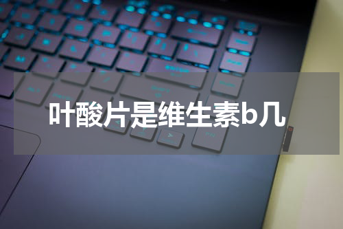 叶酸片是维生素b几