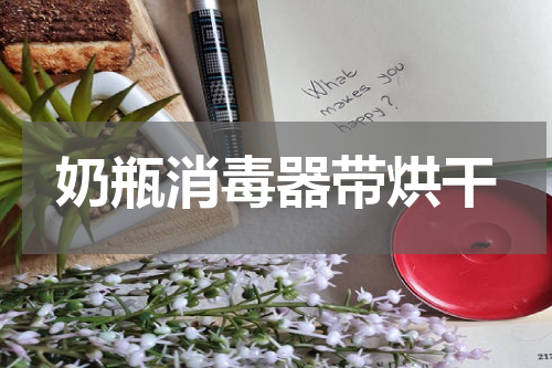 奶瓶消毒器带烘干