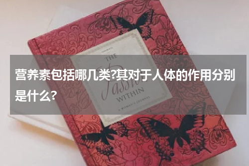 营养素包括哪几类?其对于人体的作用分别是什么?