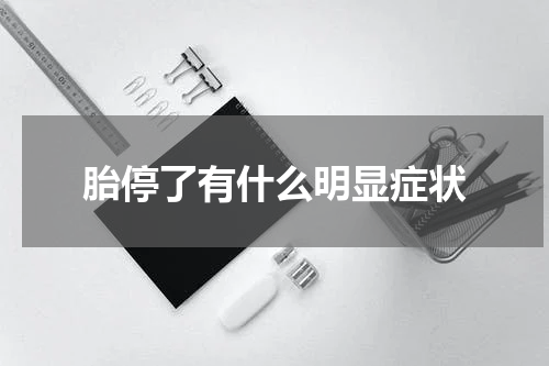 胎停了有什么明显症状