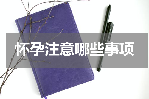 怀孕注意哪些事项