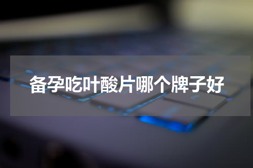 备孕吃叶酸片哪个牌子好