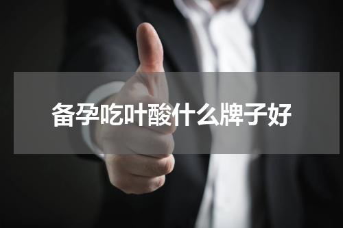 备孕吃叶酸什么牌子好