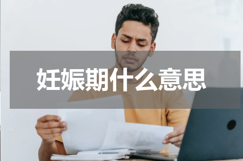 妊娠期什么意思